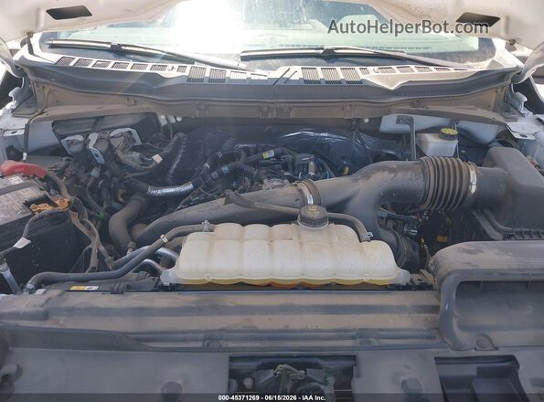 1FTEX1LP2RKF39916 2024 FORD F150 White Widok z tyłu