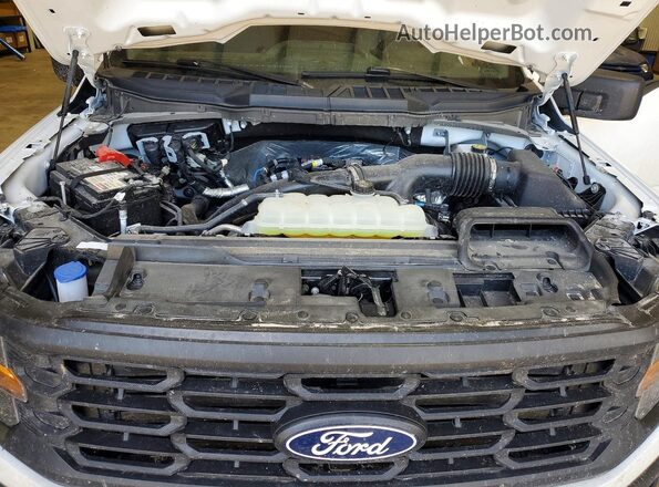 1FTEX1LP7SKD01291 2025 FORD F150 Белый 