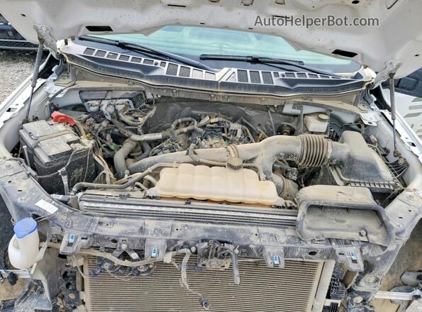 1FTEX1LP9RKE12483 2024 FORD F150 White 