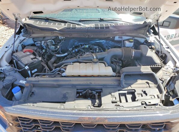 1FTEX2KP4RKE80147 2024 FORD F150 White 
