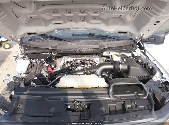 1FTEX2KPXRKE81898 2024 FORD F150 Gray Widok z tyłu