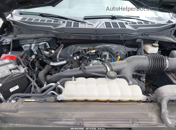 1FTEX2LP4RKE88151 2024 FORD F150 Серый Вид сзади