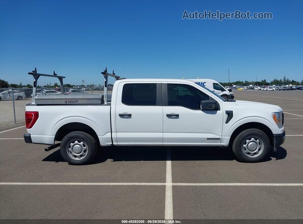 1FTFW1CD4MFC37381 2021 FORD F150 Белый Вид задней части салона