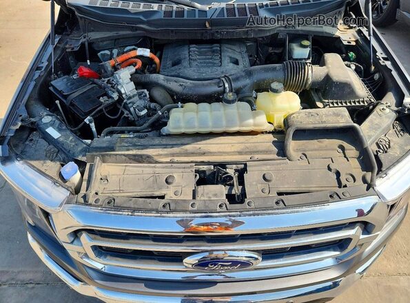 1FTFW1CD9MFC03517 2021 FORD F150 Gray Vista interior trasera