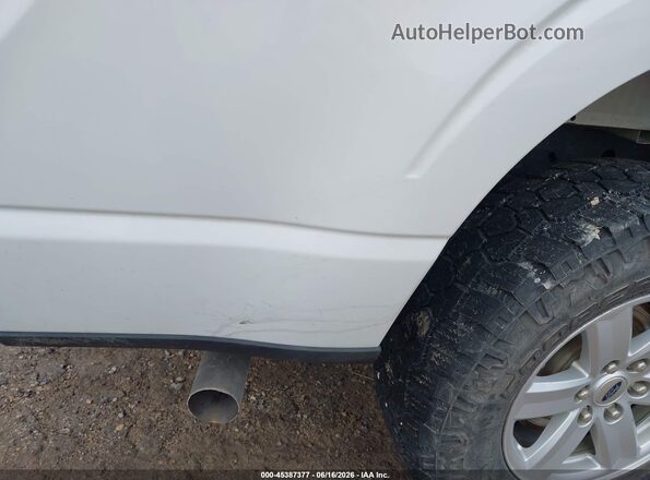 1FTFW1E50PFC35136 2023 FORD F150 White 