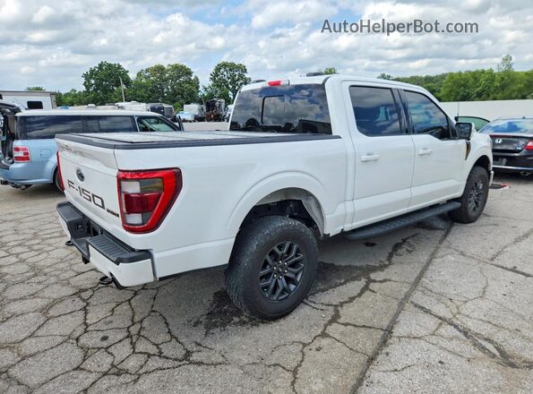 1FTFW1E56PFC91081 2023 FORD F150 White Tył prawy
