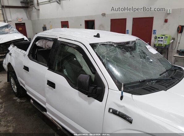 1FTFW1E57KKD39641 2019 FORD F150 White Front view
