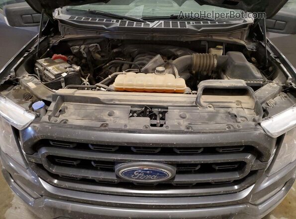 1FTFW1E59MFA70263 2021 FORD F150 Gray უკანა სალონის ხედი