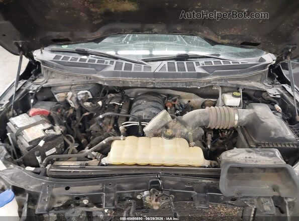 1FTFW1E5XMFB57203 2021 FORD F150 Gray Widok z tyłu