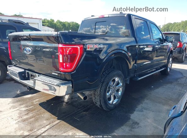 1FTFW1E81PFB05019 2023 FORD F150 Black Tył prawy