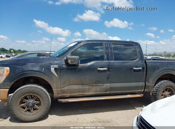1FTFW1E83PFC50028 2023 FORD F150 Black Սալոնի 360 աստիճան տեսք
