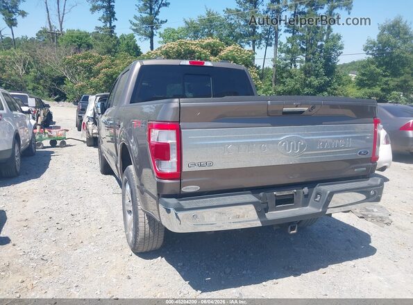 1FTFW1E84PFC46716 2023 FORD F150 Brown უკანა მარცხენა
