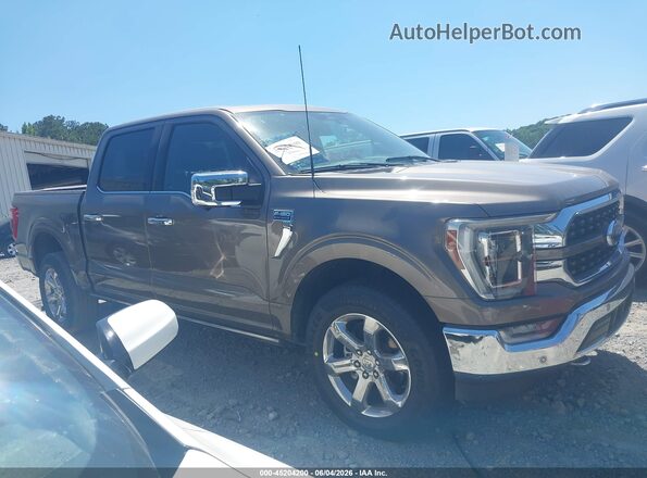 1FTFW1E84PFC46716 2023 FORD F150 Brown უკანა სალონის ხედი