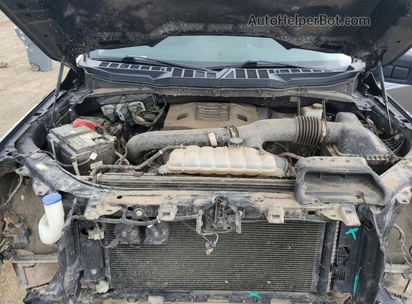 1FTFW1E86MFA39644 2021 FORD F150 Charcoal Rear interior view