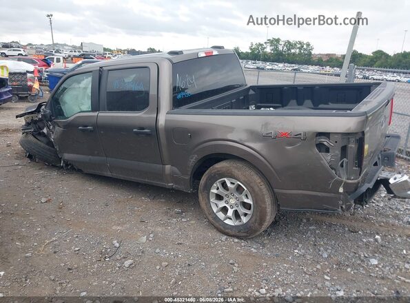 1FTFW1E86PFB69430 2023 FORD F150 Brown უკანა მარცხენა