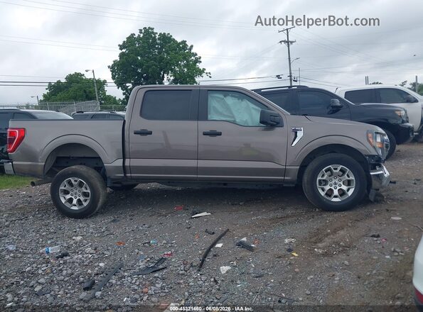 1FTFW1E86PFB69430 2023 FORD F150 Brown უკანა სალონის ხედი