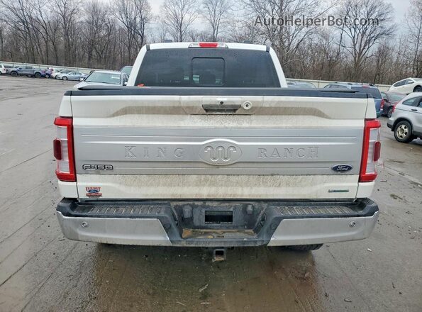 1FTFW1E88PFC45651 2023 FORD F150 White Rear view