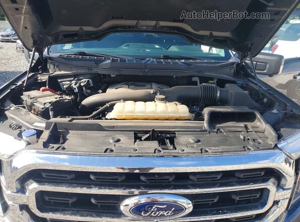 1FTFW1E89MKD72847 2021 FORD F150 Gray Widok wnętrza z tyłu
