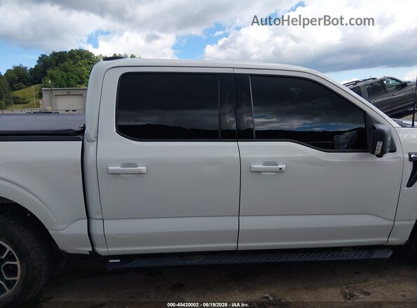 1FTFW1E89PFC16370 2023 FORD F150 White Вид задньої частини салону