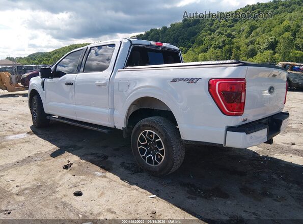 1FTFW1E89PFC16370 2023 FORD F150 White Задня ліва чверть