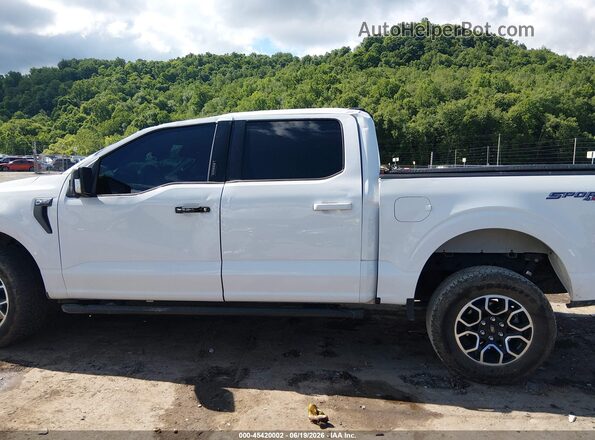 1FTFW1E89PFC16370 2023 FORD F150 White Панорамний вид салону 360°