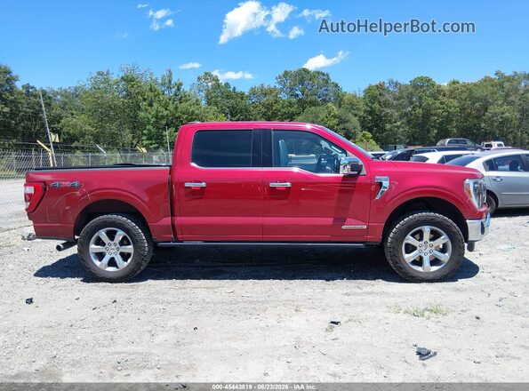 1FTFW1ED0MFB47643 2021 FORD F150 Красный Панорамный вид салона 360°