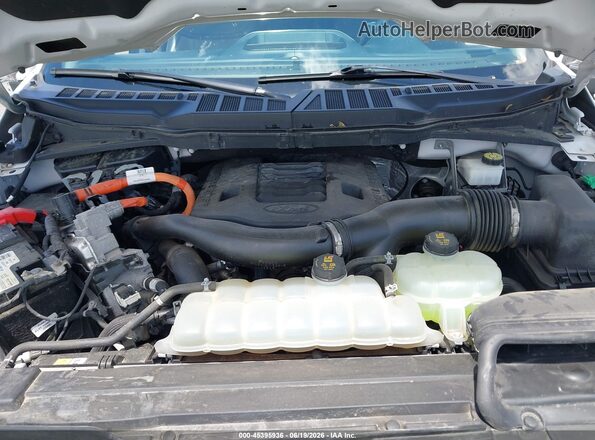 1FTFW1ED0MFB72137 2021 FORD F150 White Вид ззаду