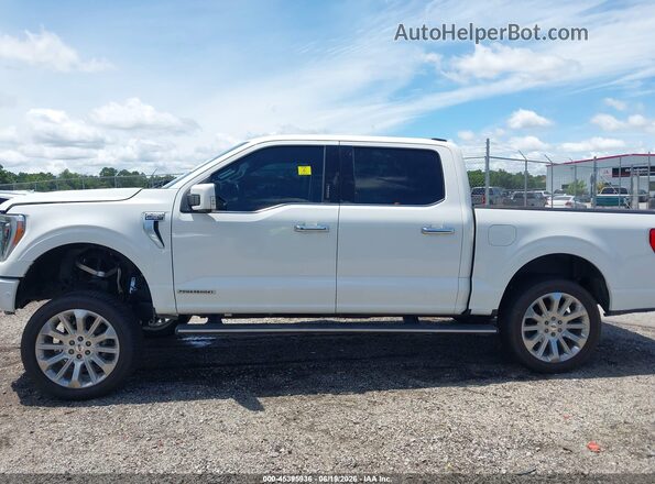 1FTFW1ED0MFB72137 2021 FORD F150 White Панорамний вид салону 360°
