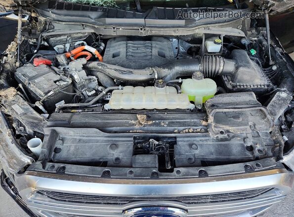 1FTFW1ED1MFB84183 2021 FORD F150 Blue Rear interior view