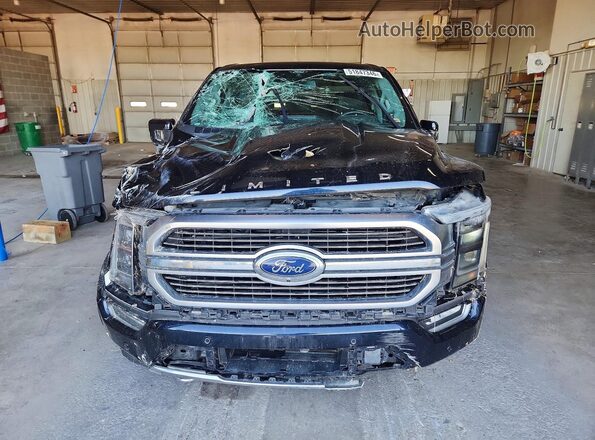 1FTFW1ED1MFB84183 2021 FORD F150 Blue Front view