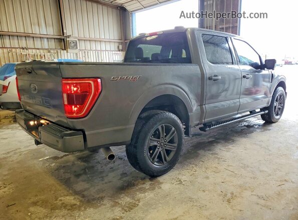 1FTFW1ED1PFD08084 2023 FORD F150 Gray Задня права чверть