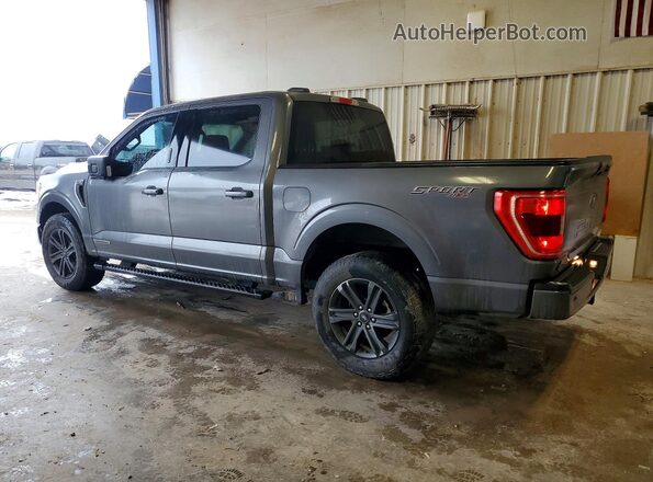 1FTFW1ED1PFD08084 2023 FORD F150 Gray Задня ліва чверть