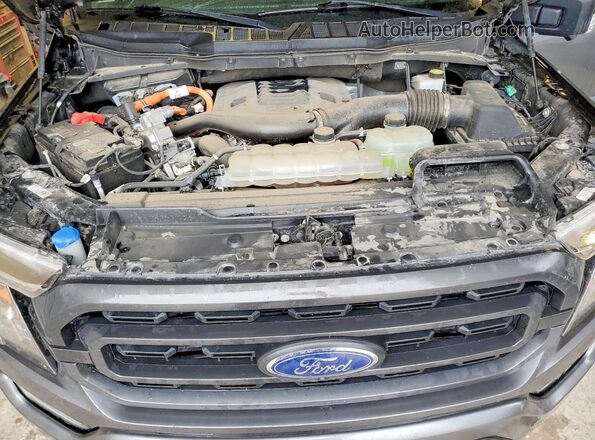 1FTFW1ED1PFD08084 2023 FORD F150 Gray Вид задньої частини салону