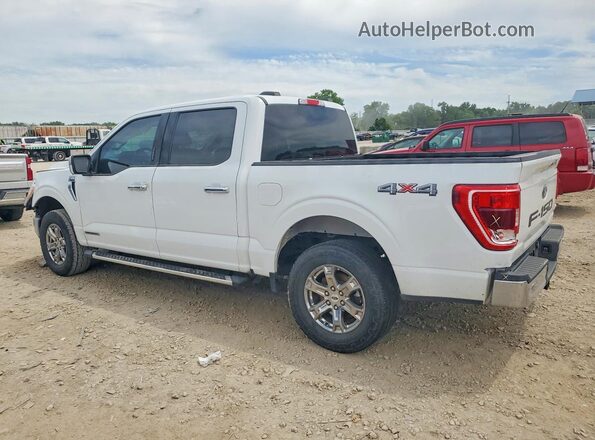1FTFW1ED2PFB50614 2023 FORD F150 White Trasero izquierdo