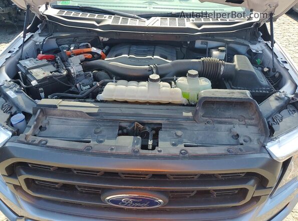 1FTFW1ED3PFA04593 2023 FORD F150 Silver Вид задньої частини салону