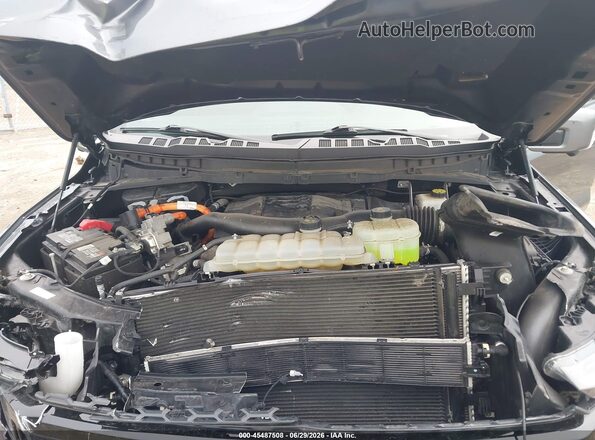 1FTFW1ED3PFA92142 2023 FORD F150 Gray Հետևի տեսք