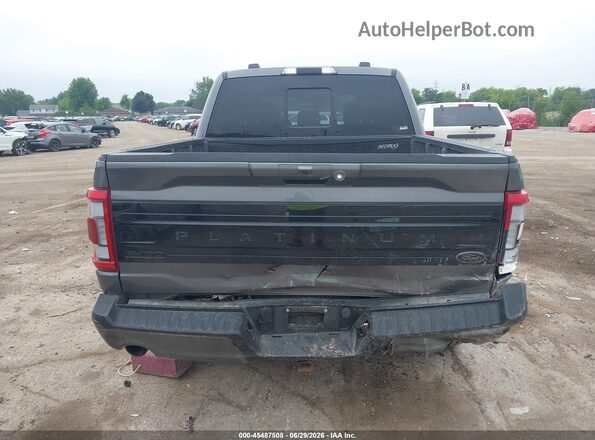 1FTFW1ED3PFA92142 2023 FORD F150 Gray 