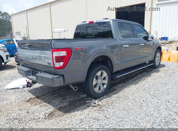 1FTFW1ED3PFC15647 2023 FORD F150 Gray Rear right