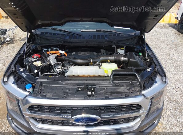 1FTFW1ED3PFC15647 2023 FORD F150 Gray Rear view