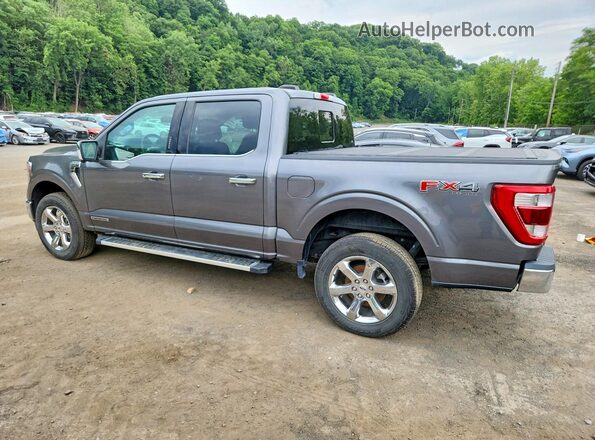 1FTFW1ED3PFC46302 2023 FORD F150 Gray 