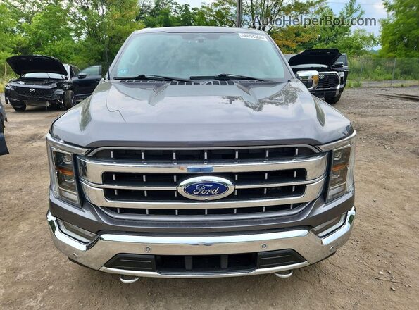 1FTFW1ED3PFC46302 2023 FORD F150 Gray 