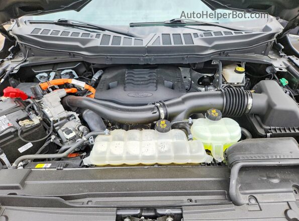 1FTFW1ED3PFC46302 2023 FORD F150 Gray 
