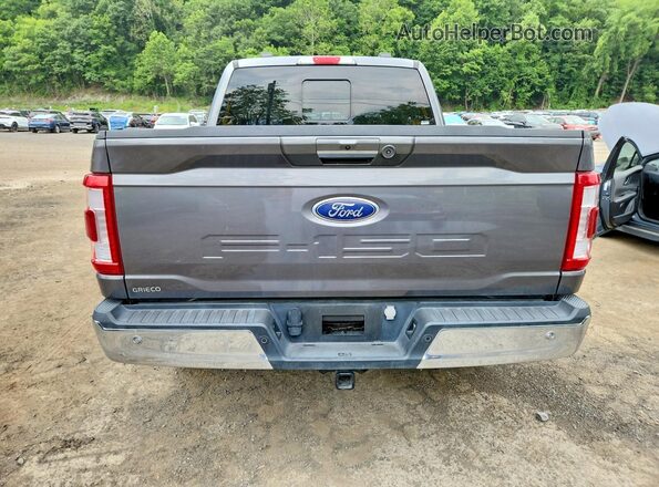 1FTFW1ED3PFC46302 2023 FORD F150 Gray 