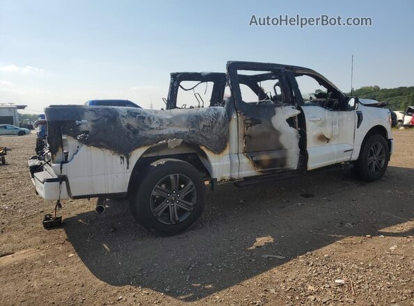 1FTFW1ED3PFC75718 2023 FORD F150 White Rear right