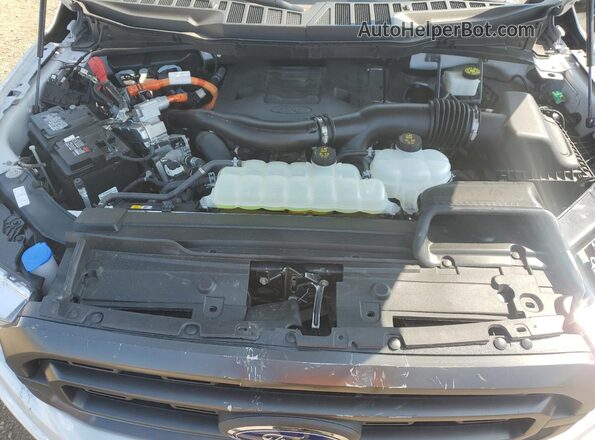 1FTFW1ED3PFC75718 2023 FORD F150 White Rear interior view