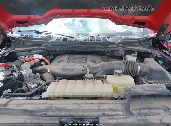 1FTFW1ED4MFC47938 2021 FORD F150 Red Вид ззаду
