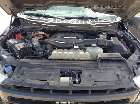 1FTFW1ED4MFC63234 2021 FORD F150 Gray Vista trasera