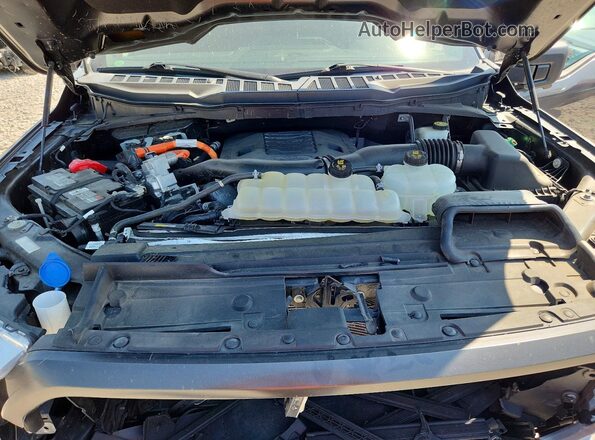 1FTFW1ED4NFB47551 2022 FORD F150 Gray Սալոնի հետևի տեսք
