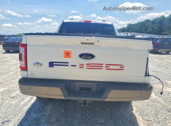1FTFW1ED4PFB46161 2023 FORD F150 White Հետևի տեսք