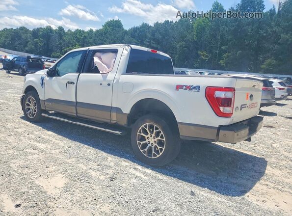 1FTFW1ED4PFB46161 2023 FORD F150 White Հետևի ձախ